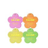 Daise Set Completo de Fragancias