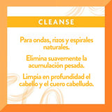 Cantu Shampoo libre de sulfatos para Rizos